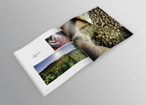 品味巔峰，源自純粹——帝芬諾高端精品咖啡產(chǎn)品宣傳畫(huà)冊(cè)